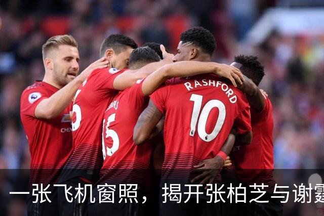 一张飞机窗照，揭开张柏芝与谢霆锋成熟相处的真相