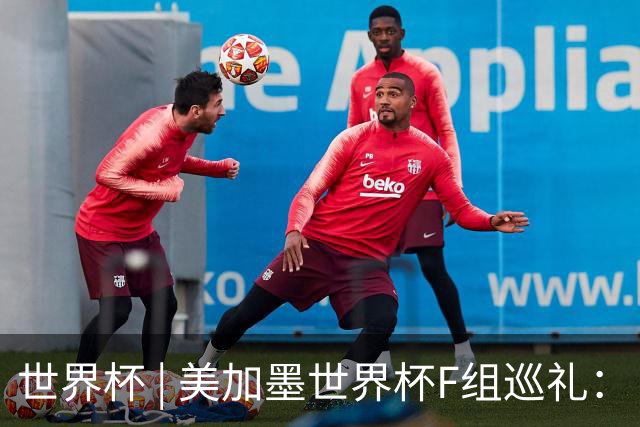 世界杯 | 美加墨世界杯F组巡礼：“死亡之组”的24种排列组合