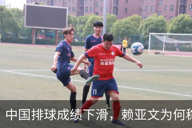 中国排球成绩下滑，赖亚文为何稳居执教岗位？