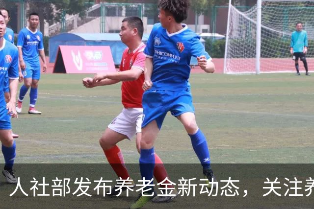 人社部发布养老金新动态，关注养老保险中断问题
