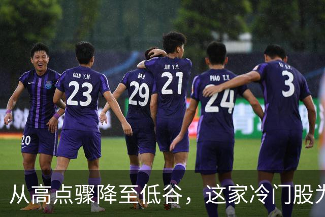 从高点骤降至低谷，这家冷门股为何吸引外资布局？