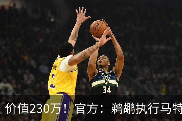 价值230万！官方：鹈鹕执行马特科维奇26-27赛季球队选项！