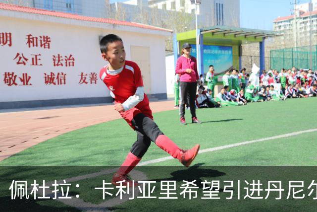 佩杜拉：卡利亚里希望引进丹尼尔·马尔蒂尼，萨索洛也有意球员