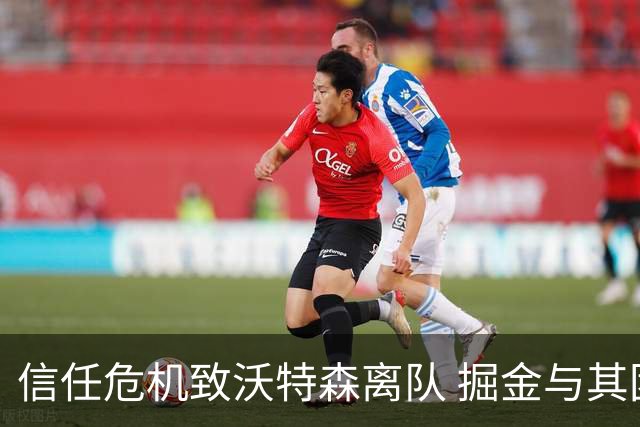 信任危机致沃特森离队 掘金与其团队关系紧张