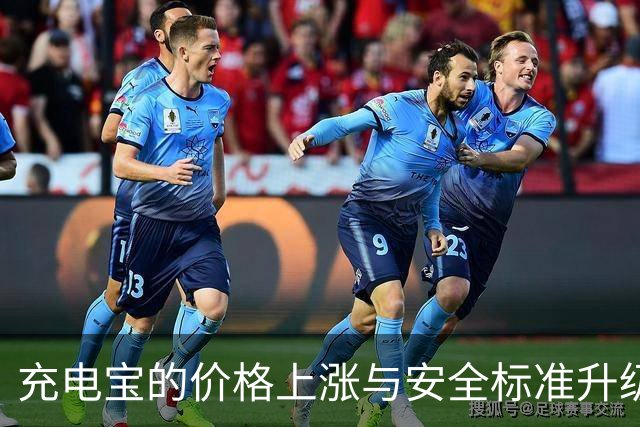 充电宝的价格上涨与安全标准升级的背后