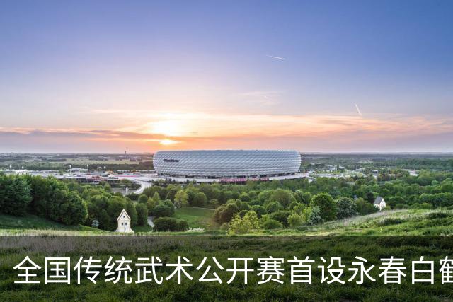 全国传统武术公开赛首设永春白鹤拳赛区 海内外选手以“拳”会友