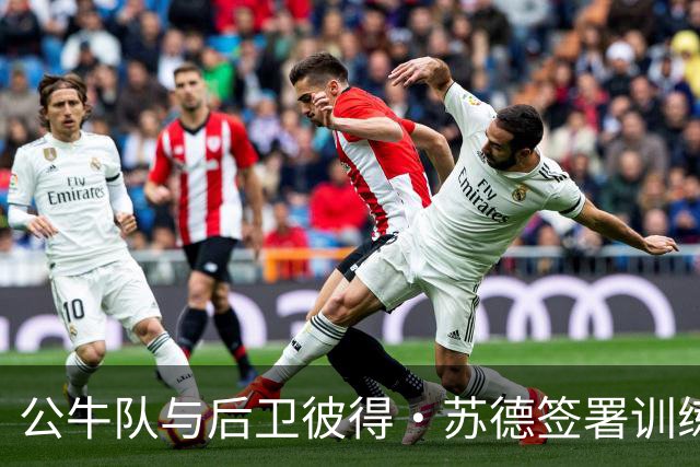 公牛队与后卫彼得·苏德签署训练营合同