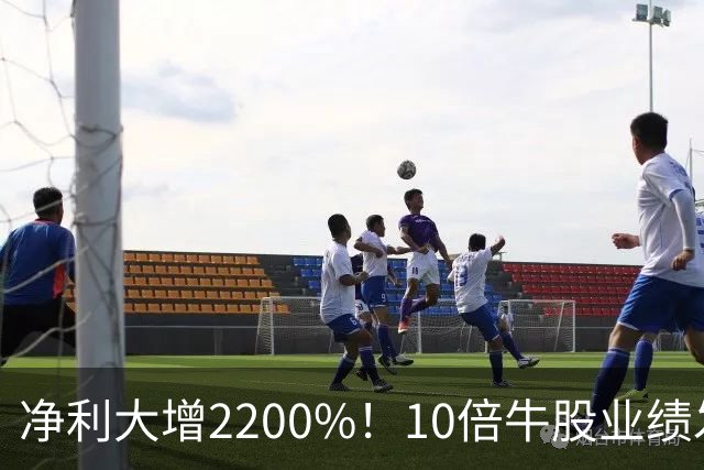 净利大增2200%！10倍牛股业绩发布