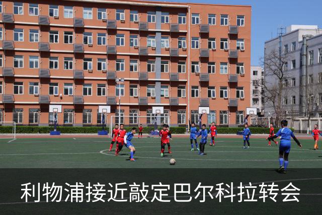 利物浦接近敲定巴尔科拉转会