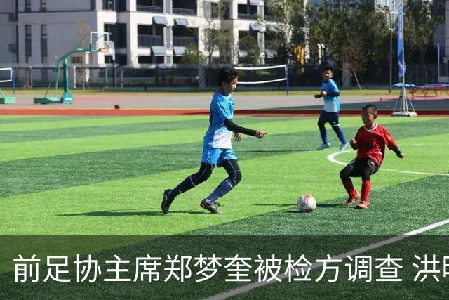前足协主席郑梦奎被检方调查 洪明甫未被追责