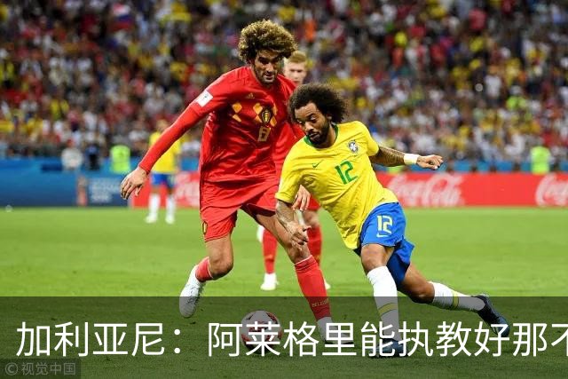 加利亚尼：阿莱格里能执教好那不勒斯，他会根据队内球员制定战术