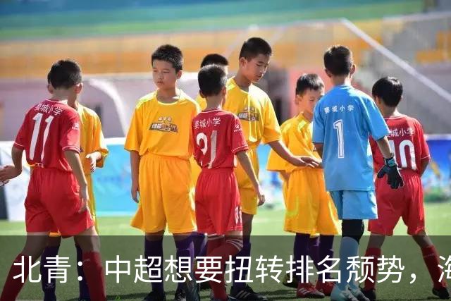 北青：中超想要扭转排名颓势，海港国安申花必须全力争取好成绩