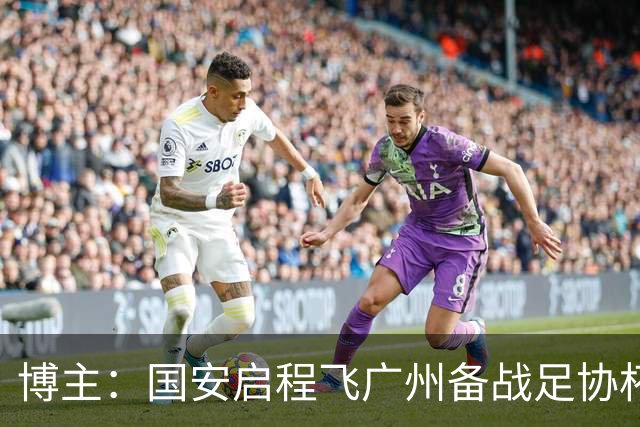 博主：国安启程飞广州备战足协杯，张玉宁、林良铭明天跟球队回合