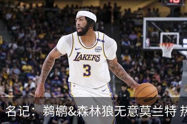 名记：鹈鹕&森林狼无意莫兰特 热火也不急于尝试其与字母哥的搭档