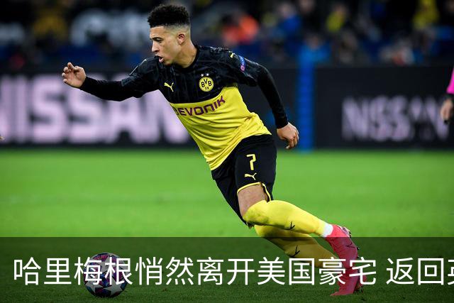 哈里梅根悄然离开美国豪宅 返回英国生活