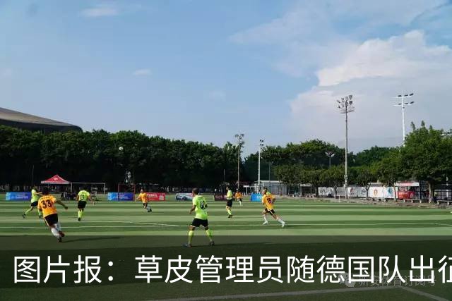 图片报：草皮管理员随德国队出征世界杯，负责训练营草皮养护