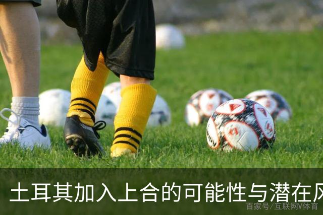 土耳其加入上合的可能性与潜在风险
