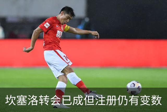 坎塞洛转会已成但注册仍有变数
