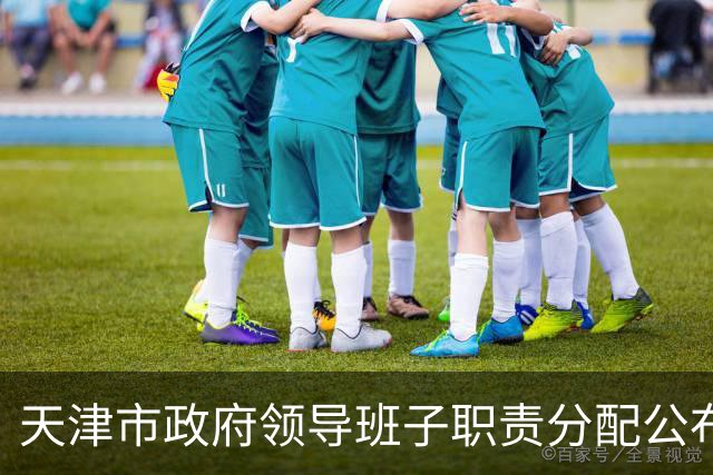 天津市政府领导班子职责分配公布
