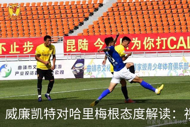 威廉凯特对哈里梅根态度解读：视为过往与无关紧要