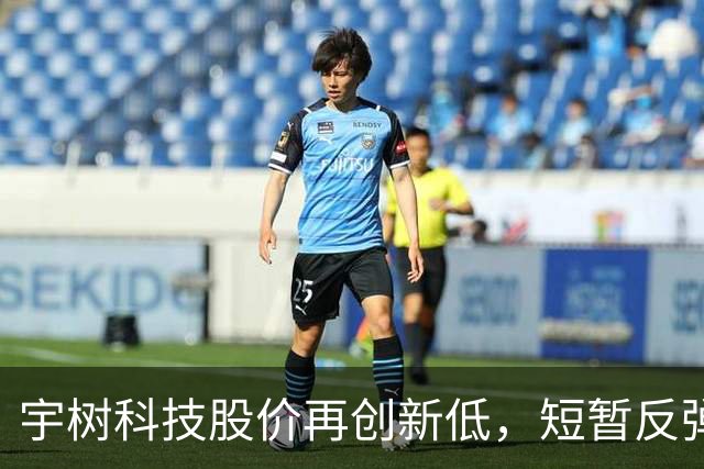 宇树科技股价再创新低，短暂反弹后再次下滑