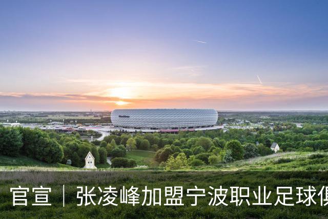 官宣｜张凌峰加盟宁波职业足球俱乐部