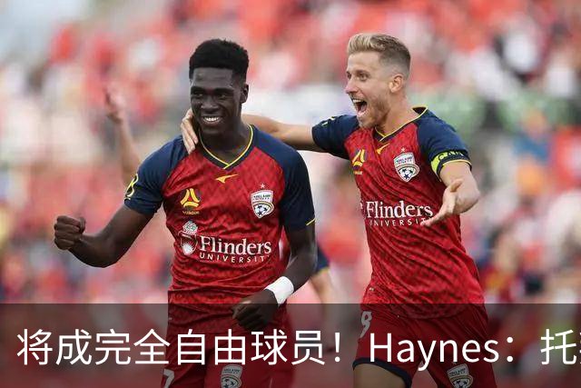 将成完全自由球员！Haynes：托拜亚斯·哈里斯不太可能回归活塞