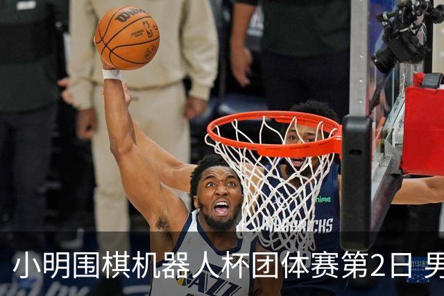 小明围棋机器人杯团体赛第2日 男子乙组北京上海领跑