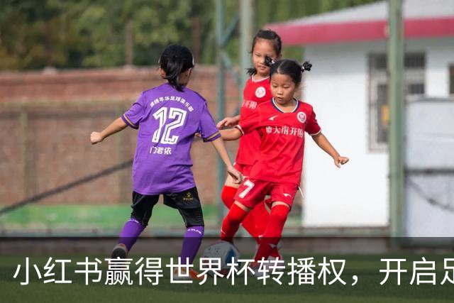 小红书赢得世界杯转播权，开启足球新纪元