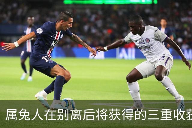 属兔人在别离后将获得的三重收获
