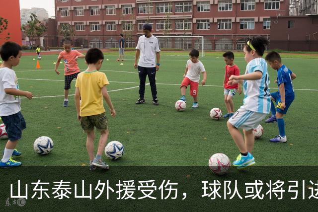 山东泰山外援受伤，球队或将引进新帅