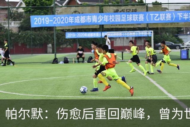 帕尔默：伤愈后重回巅峰，曾为世界杯抉择难堪