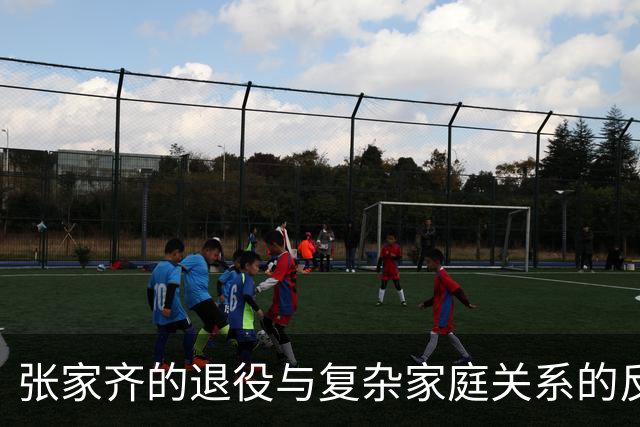 张家齐的退役与复杂家庭关系的反思