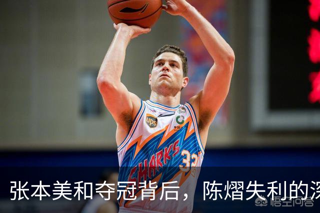 张本美和夺冠背后，陈熠失利的深层原因分析