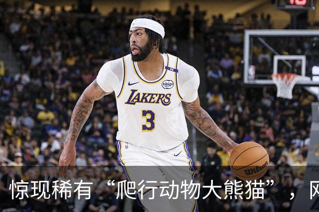 惊现稀有“爬行动物大熊猫”，网友称常见引争议