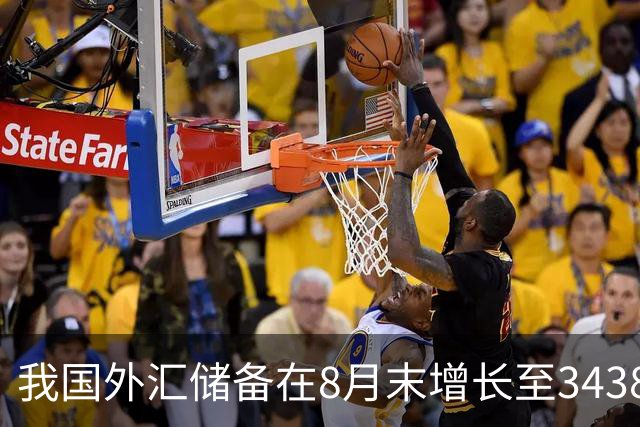 我国外汇储备在8月末增长至34383亿美元