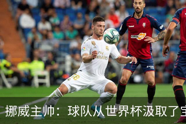 挪威主帅：球队从世界杯汲取了宝贵的经验，能在欧洲杯再攀高峰