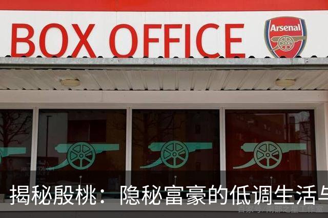 揭秘殷桃：隐秘富豪的低调生活与成功之路