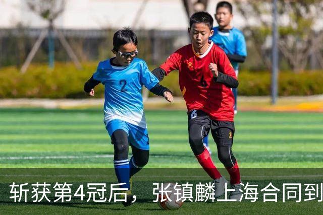 斩获第4冠后，张镇麟上海合同到期，下家3选1，去哪或看一人脸色