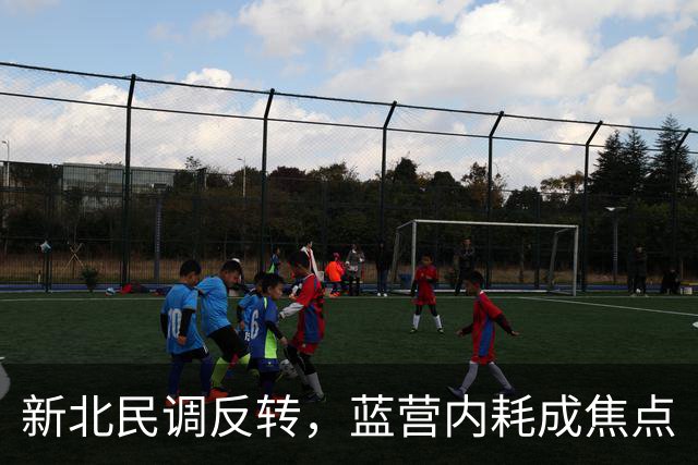 新北民调反转，蓝营内耗成焦点