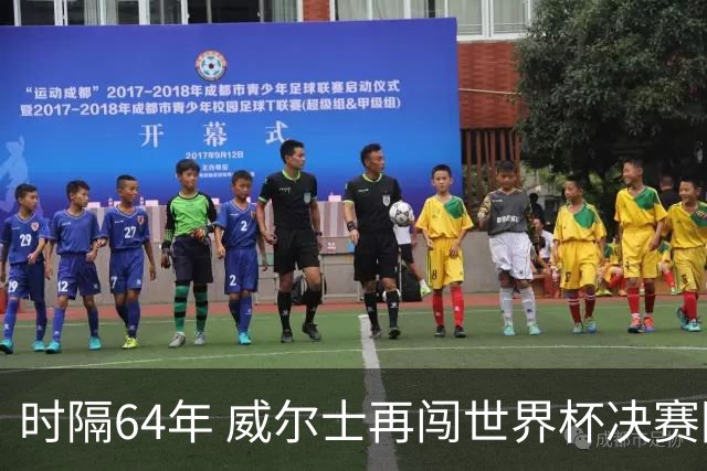 时隔64年 威尔士再闯世界杯决赛圈