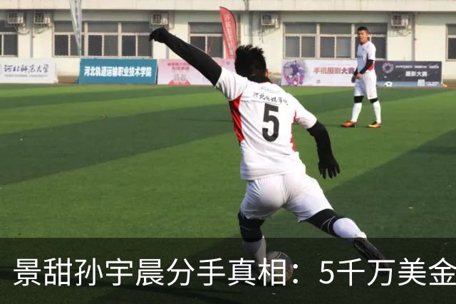景甜孙宇晨分手真相：5千万美金其实是房款