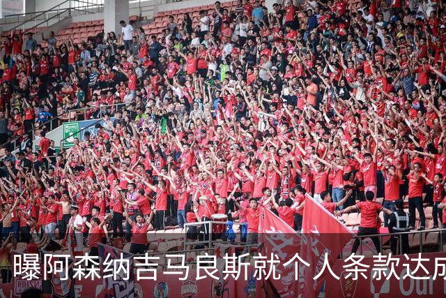 曝阿森纳吉马良斯就个人条款达成一致 纽卡接触葡超中场