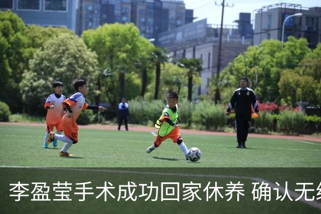 李盈莹手术成功回家休养 确认无缘本届亚锦赛与亚运会