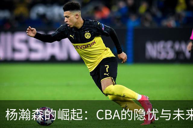 杨瀚森的崛起：CBA的隐忧与未来的希望