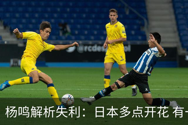 杨鸣解析失利：日本多点开花 有一种无力感 你不知道捂哪一个点好