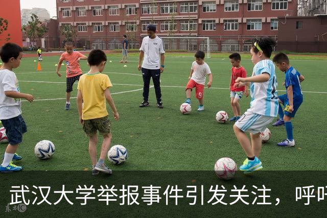 武汉大学举报事件引发关注，呼吁上级介入独立调查