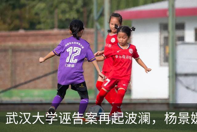 武汉大学诬告案再起波澜，杨景媛公开证人信息引争议