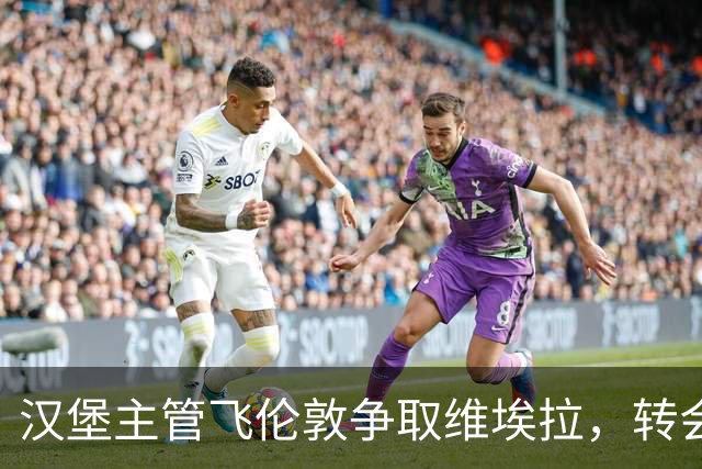 汉堡主管飞伦敦争取维埃拉，转会谈判仍未达成