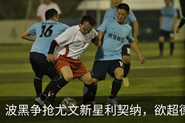 波黑争抢尤文新星利契纳，欲超德国队一步